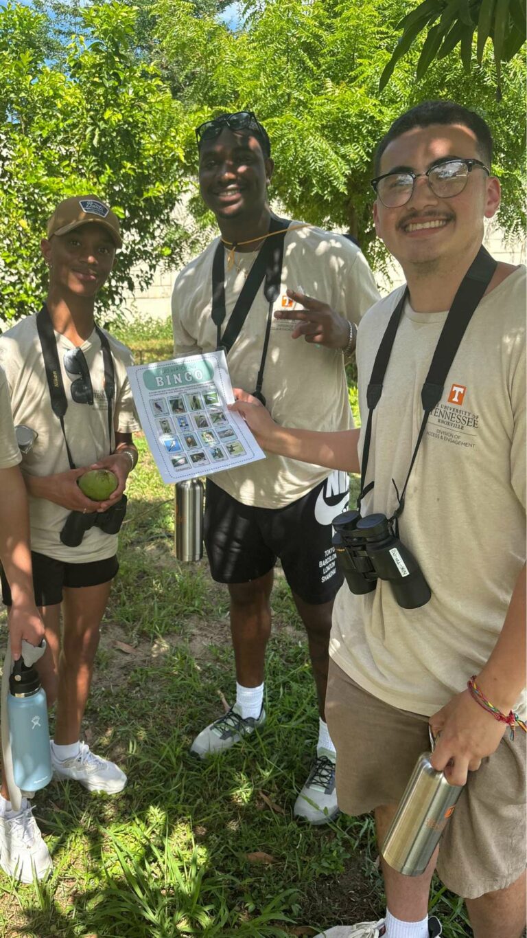 Observación aver en recorrido turistico en Loiza